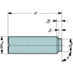 AE10-A10-SS-030 Milling Cutters With Exchangeable Solid Cutting Head - Sun Tool & Supply