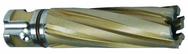 1-1/4 X 2 CARBIDE CUTTER - Sun Tool & Supply