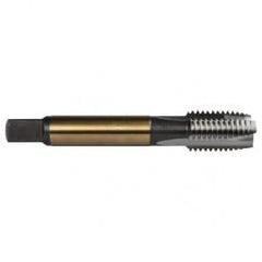 M18X2.5 3FL 6H CO SPPT PL TAP - Sun Tool & Supply